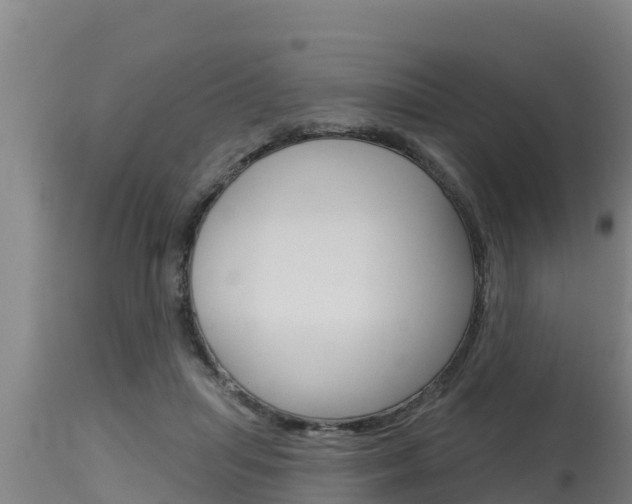 X0000115770455200911131025