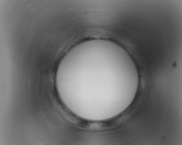 X0000115770461200911131025