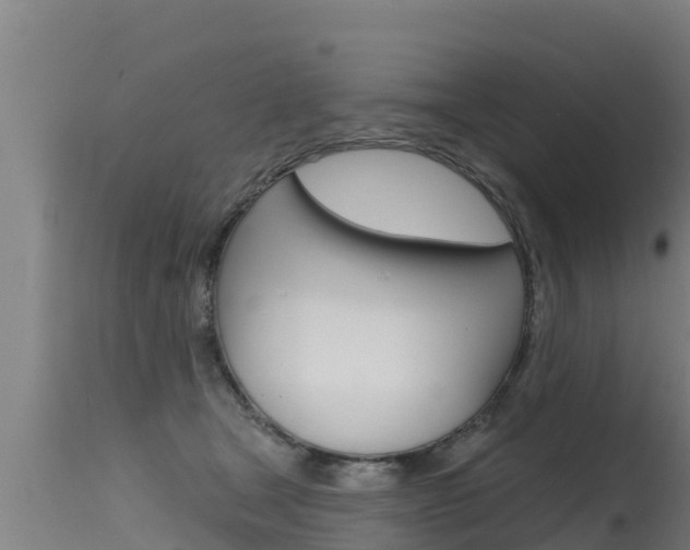 X0000115770465200911131025
