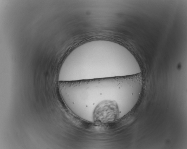 X0000115770466200911131025
