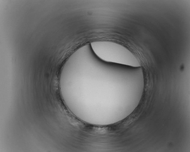 X0000115770469200911131025