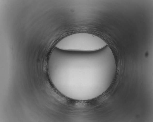 X0000115770470200911131025