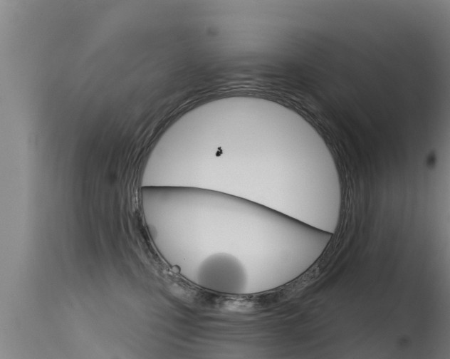 X0000115770471200911131025