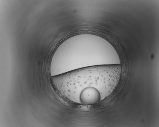 X0000115770474200911131025
