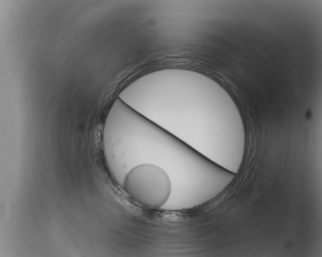 X0000115770475200911131025