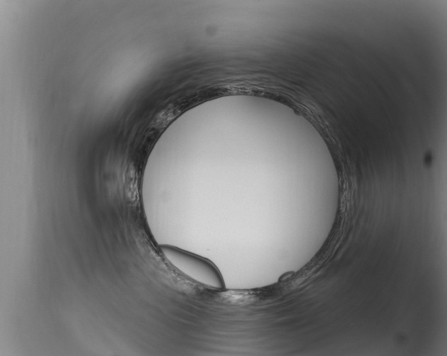 X0000115770477200911131025