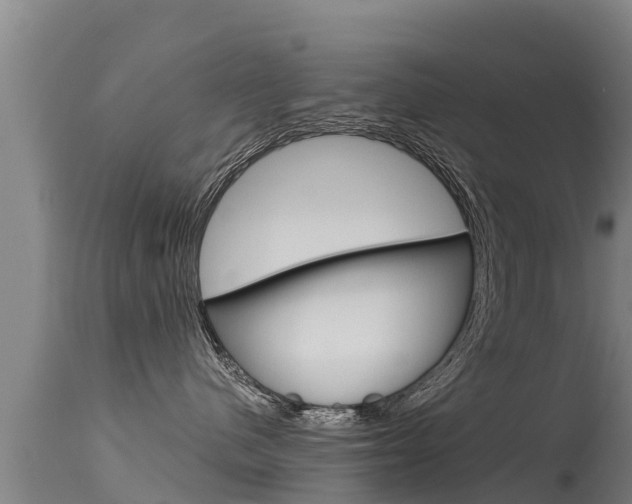 X0000115770480200911131025