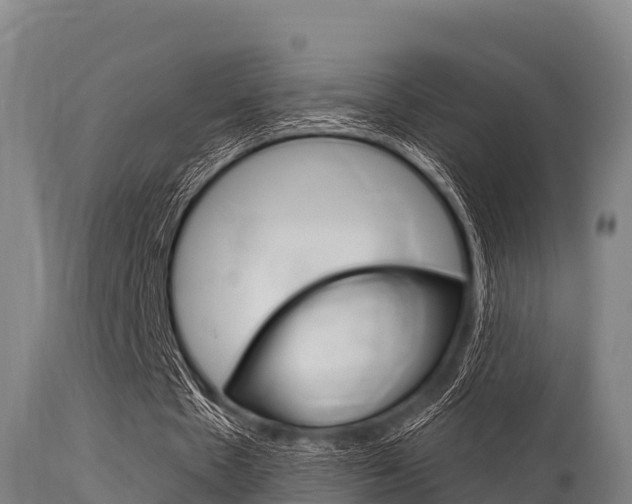 X0000115770481200911131025