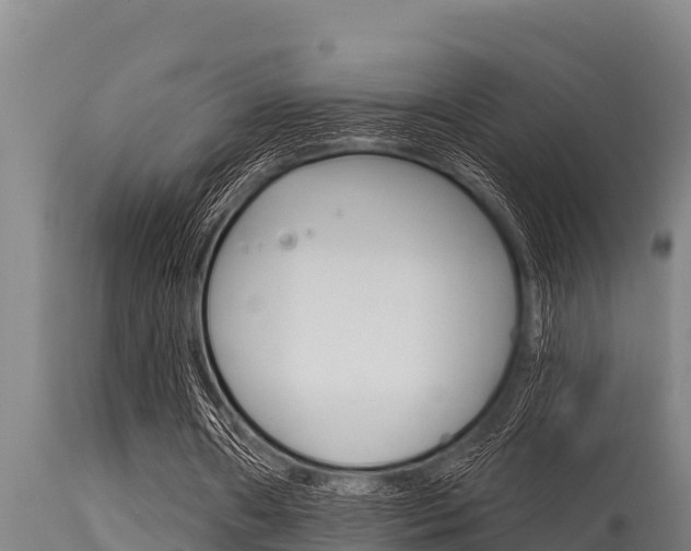 X0000115770482200911131024