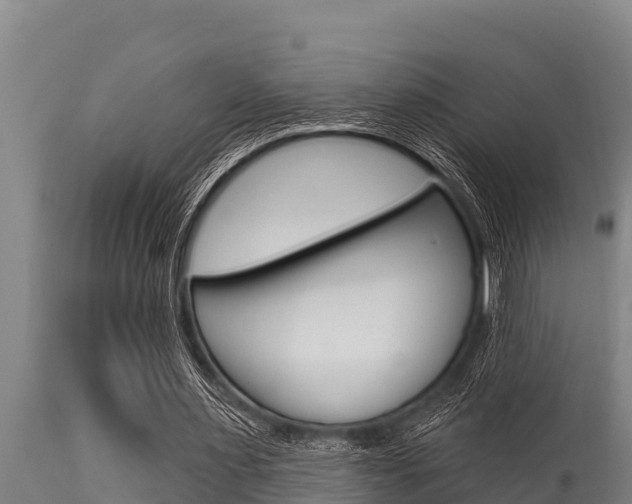 X0000115770483200911131024