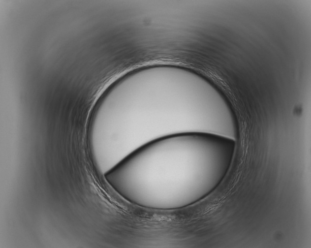 X0000115770484200911131024