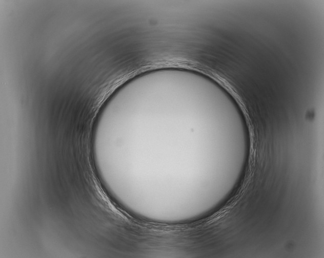 X0000115770485200911131024
