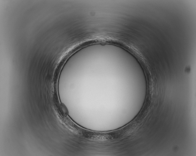 X0000115770488200911131024