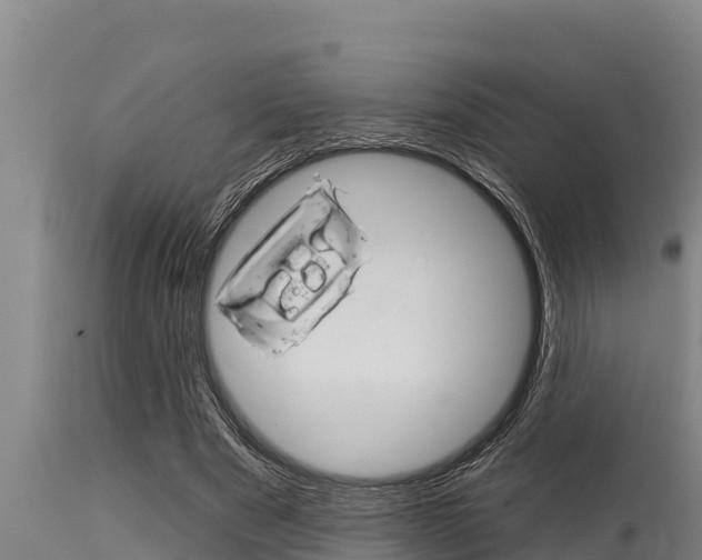 X0000115770489200911131024
