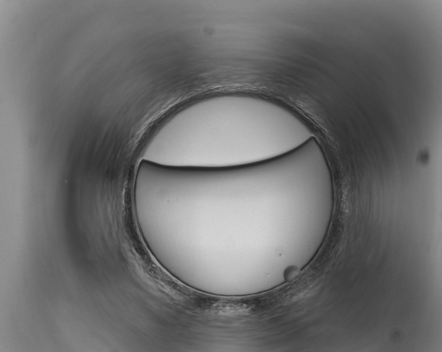 X0000115770491200911131024