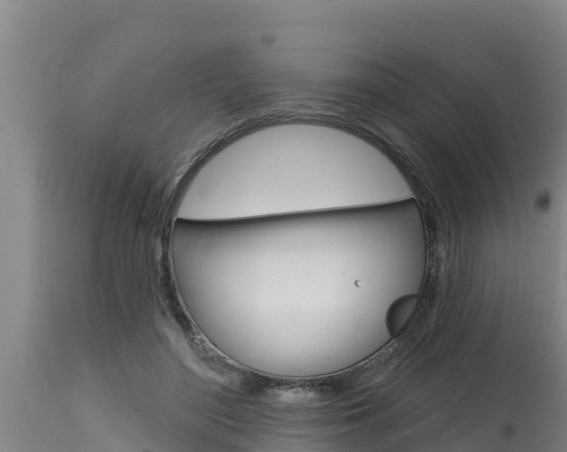 X0000115770500200911131024