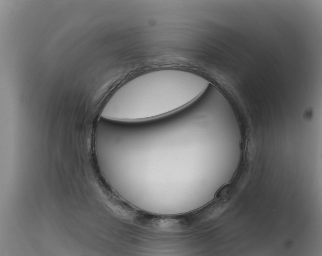 X0000115770501200911131024