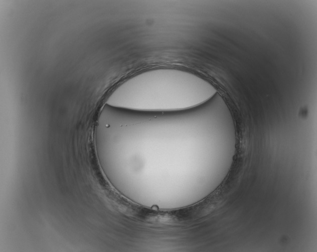 X0000115770503200911131024
