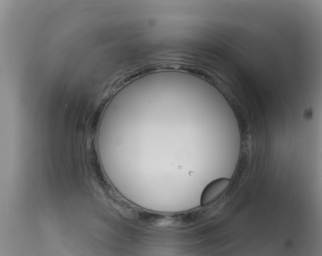 X0000115770504200911131024