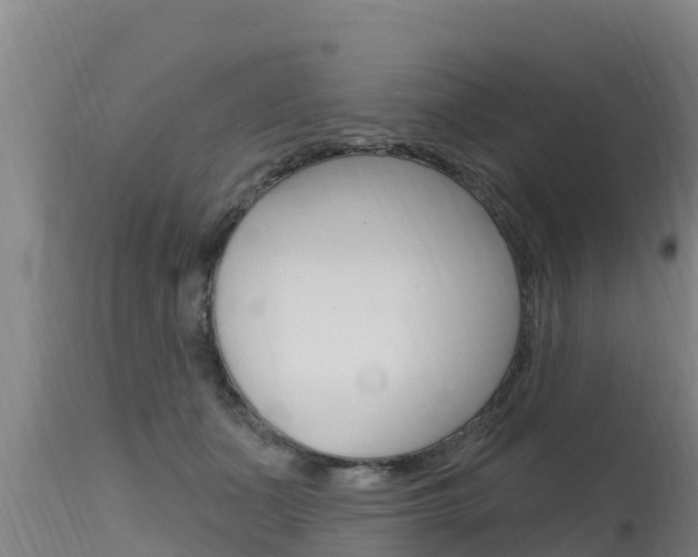 X0000115770511200911131024