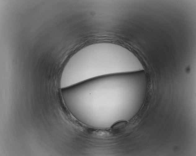 X0000115770512200911131024