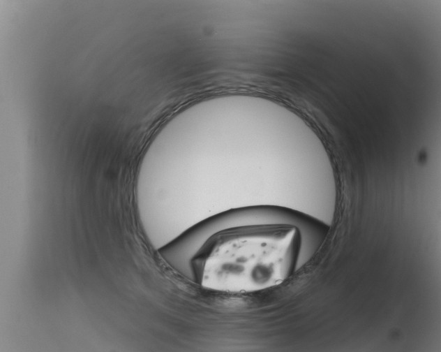 X0000115770513200911131024