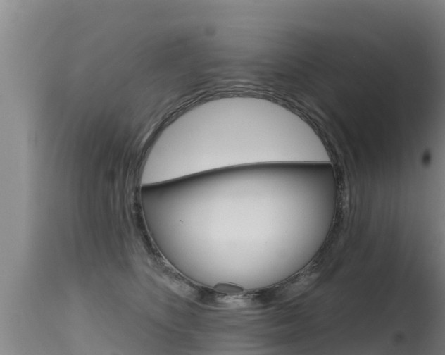 X0000115770516200911131024