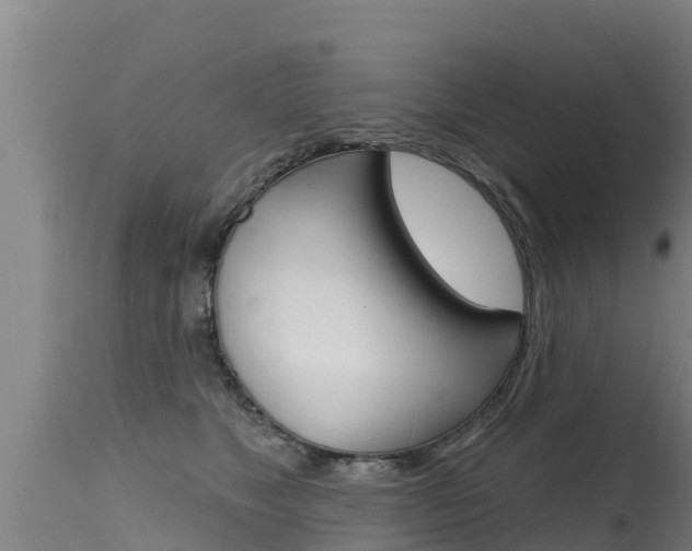 X0000115770517200911131024