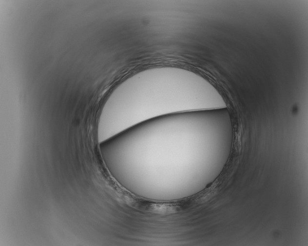 X0000115770520200911131024