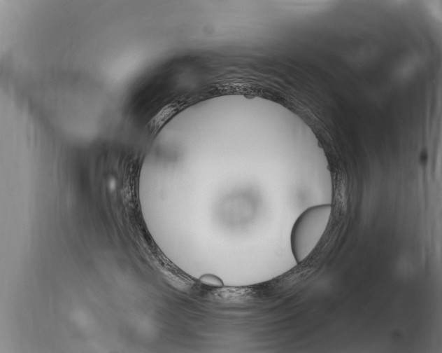 X0000115770526200911131024