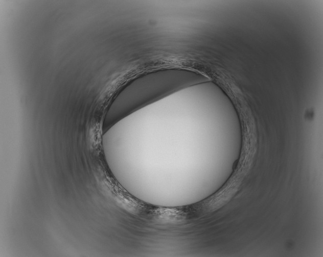 X0000115770528200911131024