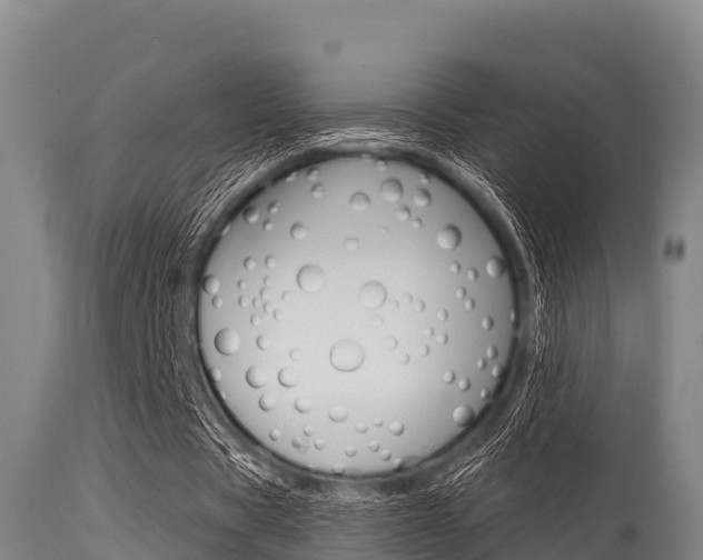 X0000115770529200911131023