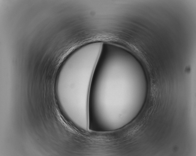 X0000115770530200911131023