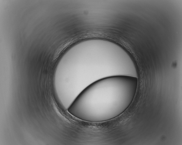 X0000115770538200911131023