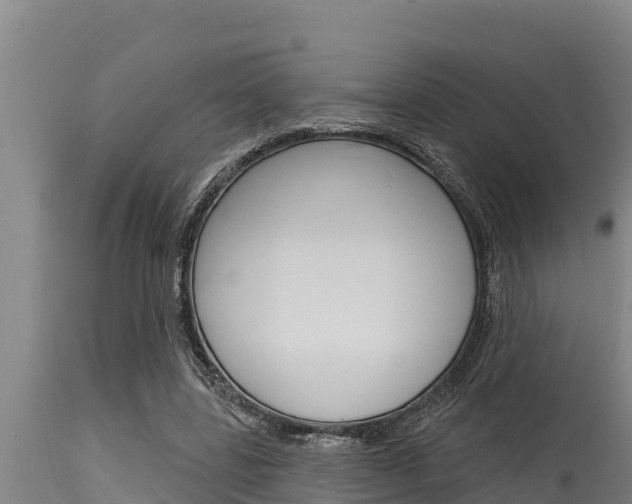 X0000115770539200911131023