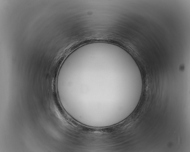 X0000115770542200911131023