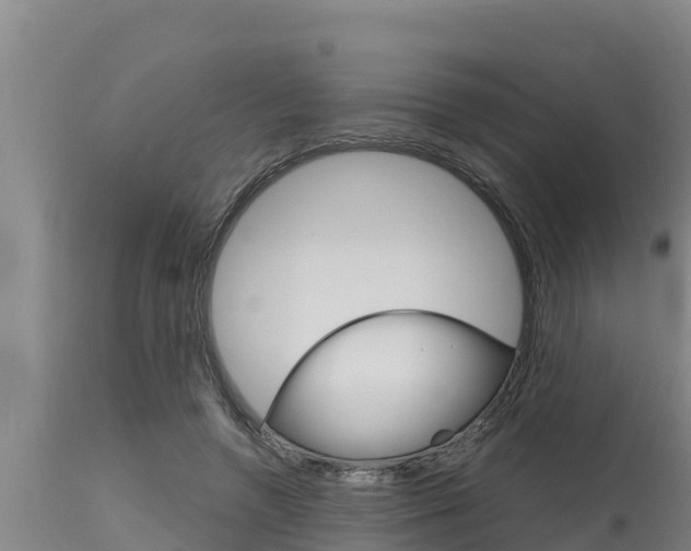 X0000115770546200911131023