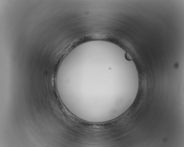 X0000115770549200911131023