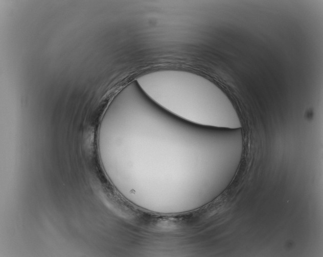 X0000115770550200911131023