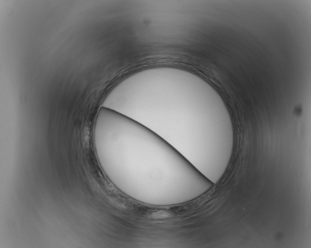 X0000115770551200911131024