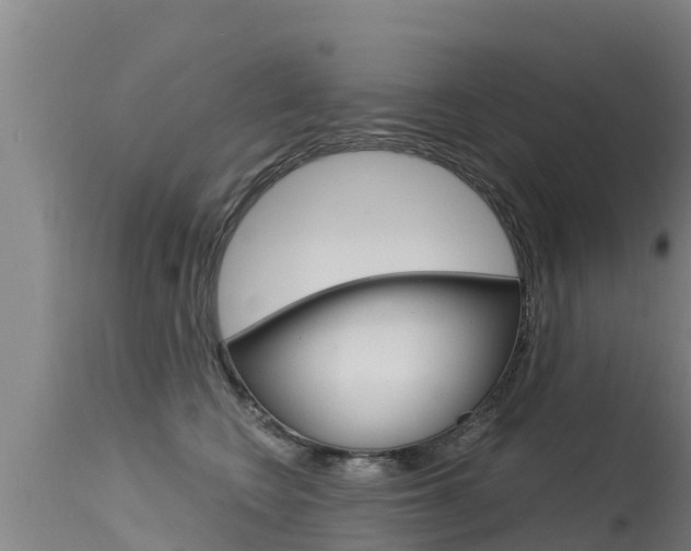 X0000115770566200911131024