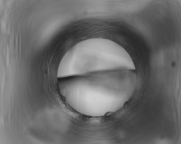 X0000115770574200911131024