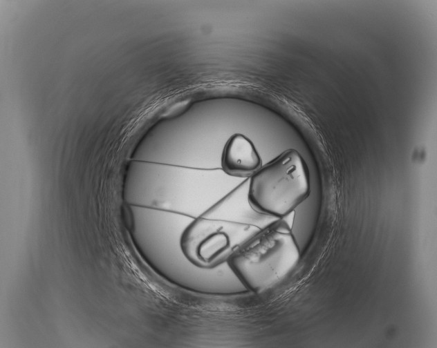 X0000115770577200911131023