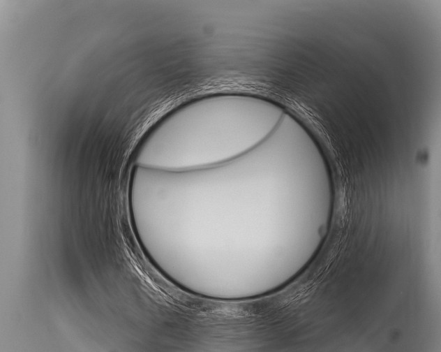 X0000115770578200911131023