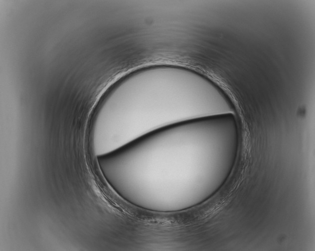X0000115770580200911131023