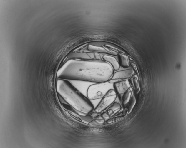 X0000115770585200911131023