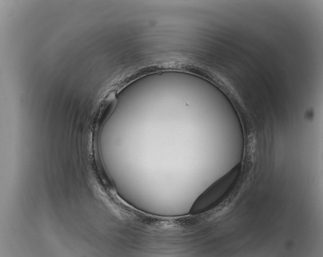 X0000115770589200911131023