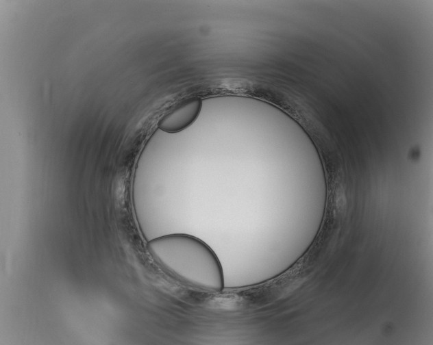 X0000115770595200911131023