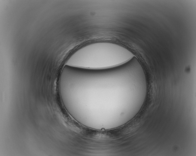 X0000115770596200911131023