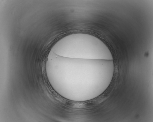 X0000115770599200911131023